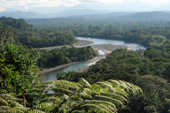 Amazon Rainforest, Ecuador
