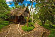 Cotococha Amazon Lodge, Ecuador